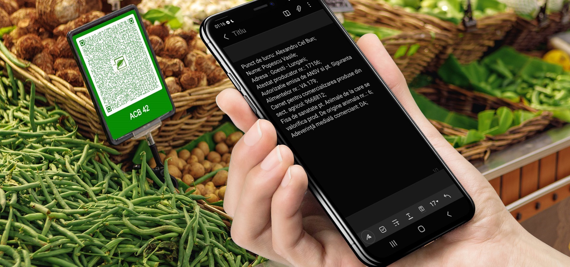 Piete in era digitalizarii